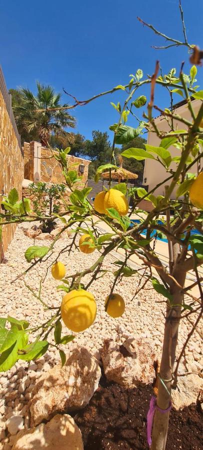 Casa Ladena Villa Cala Murada  Dış mekan fotoğraf